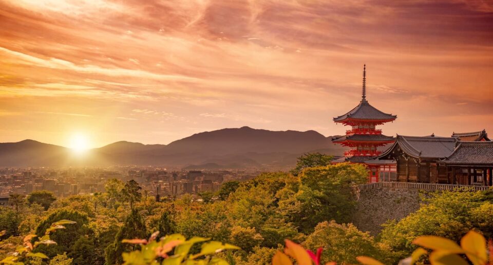 Tokio vs. Kyoto - Was passt besser zu dir?