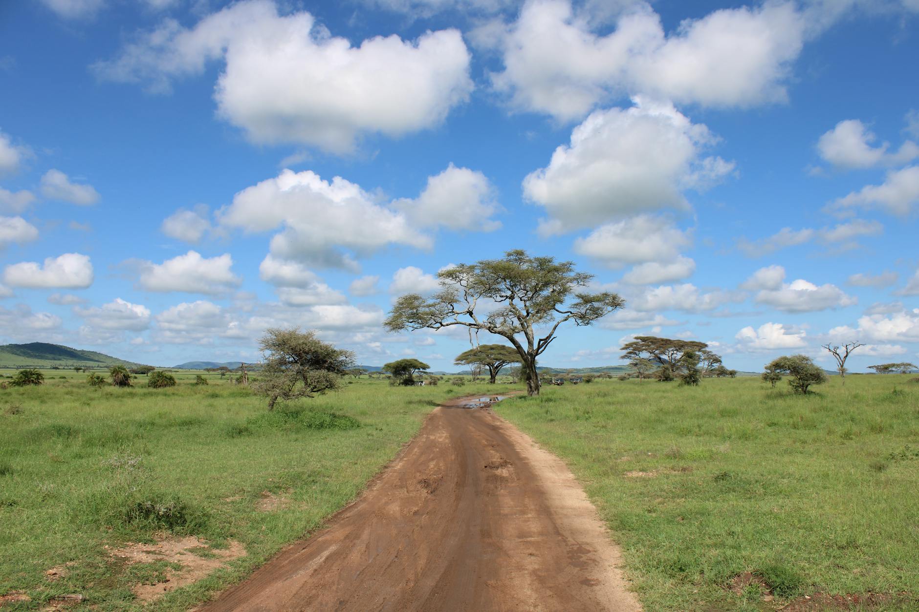 Solo durch Afrika: Was wirklich sicher ist – und was nicht
