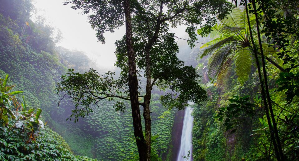 Amazonas-Touren: Wie sicher sind sie – und wie authentisch?