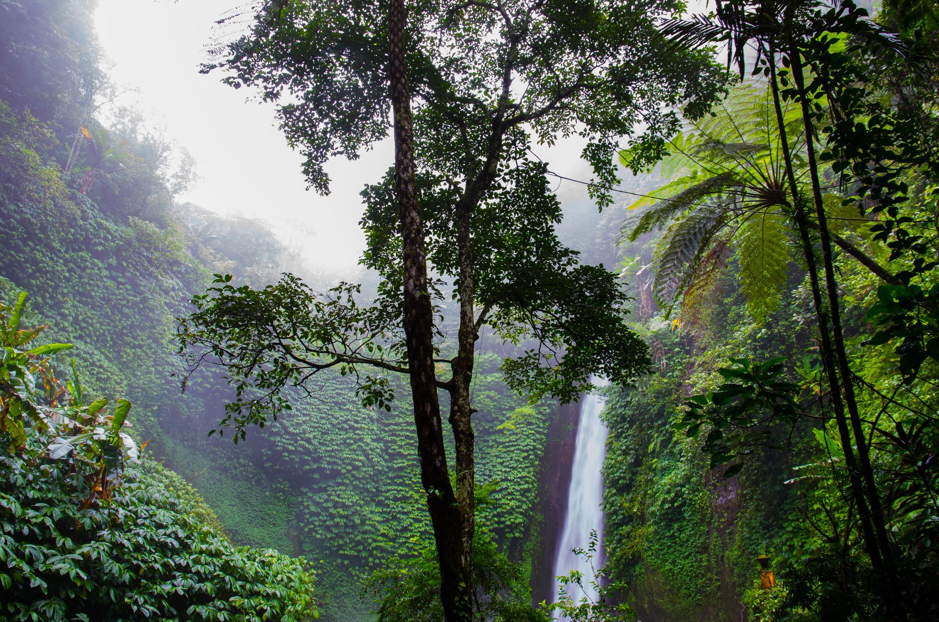 Amazonas-Touren: Wie sicher sind sie – und wie authentisch?