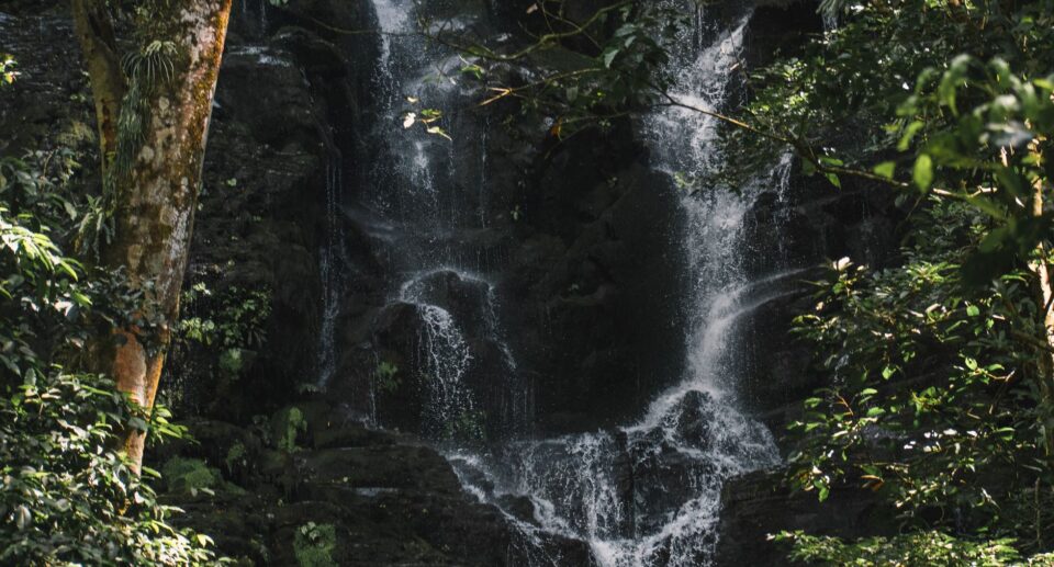 Costa Rica: Regenwald oder Strand – oder beides?
