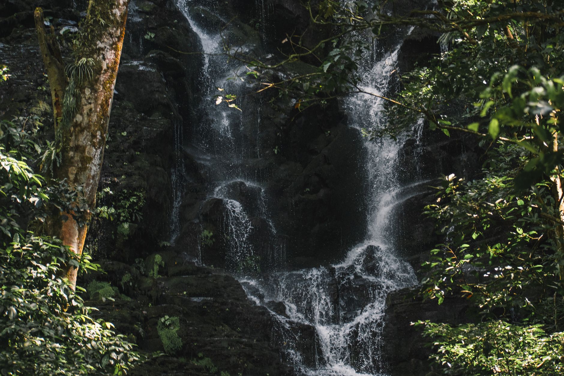 Costa Rica: Regenwald oder Strand – oder beides?