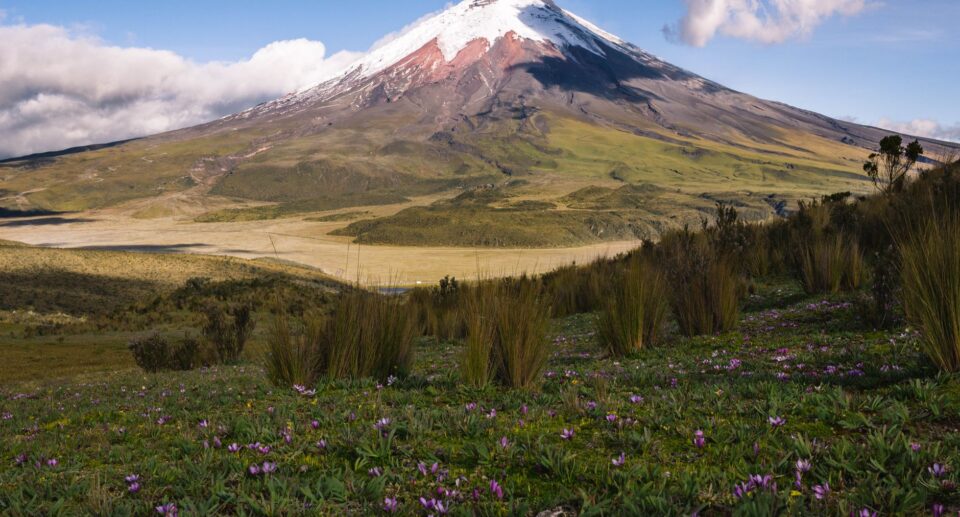 Ecuador in 2 Wochen: Galapagos, Anden & Amazonas planen