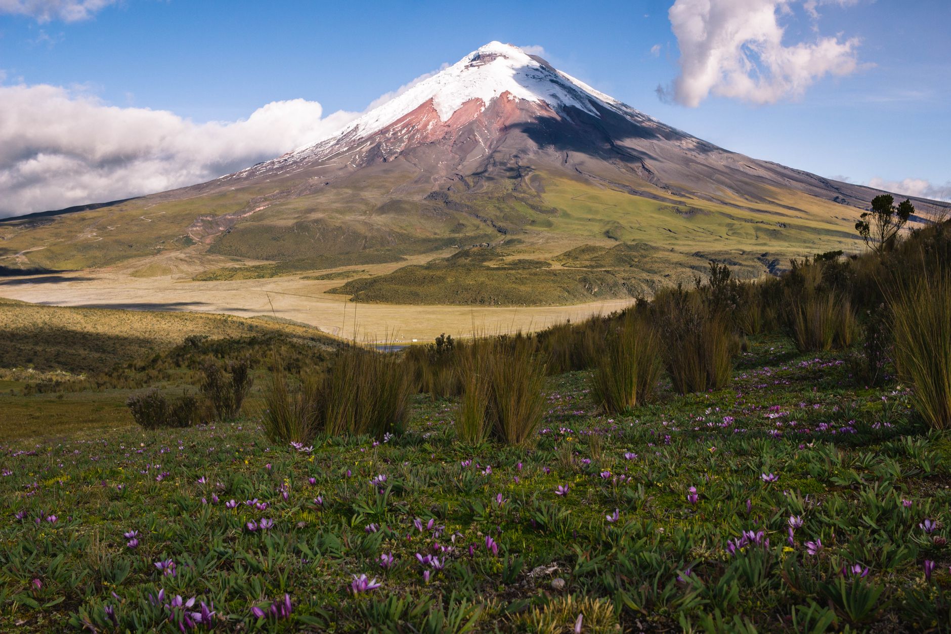 Ecuador in 2 Wochen: Galapagos, Anden & Amazonas planen