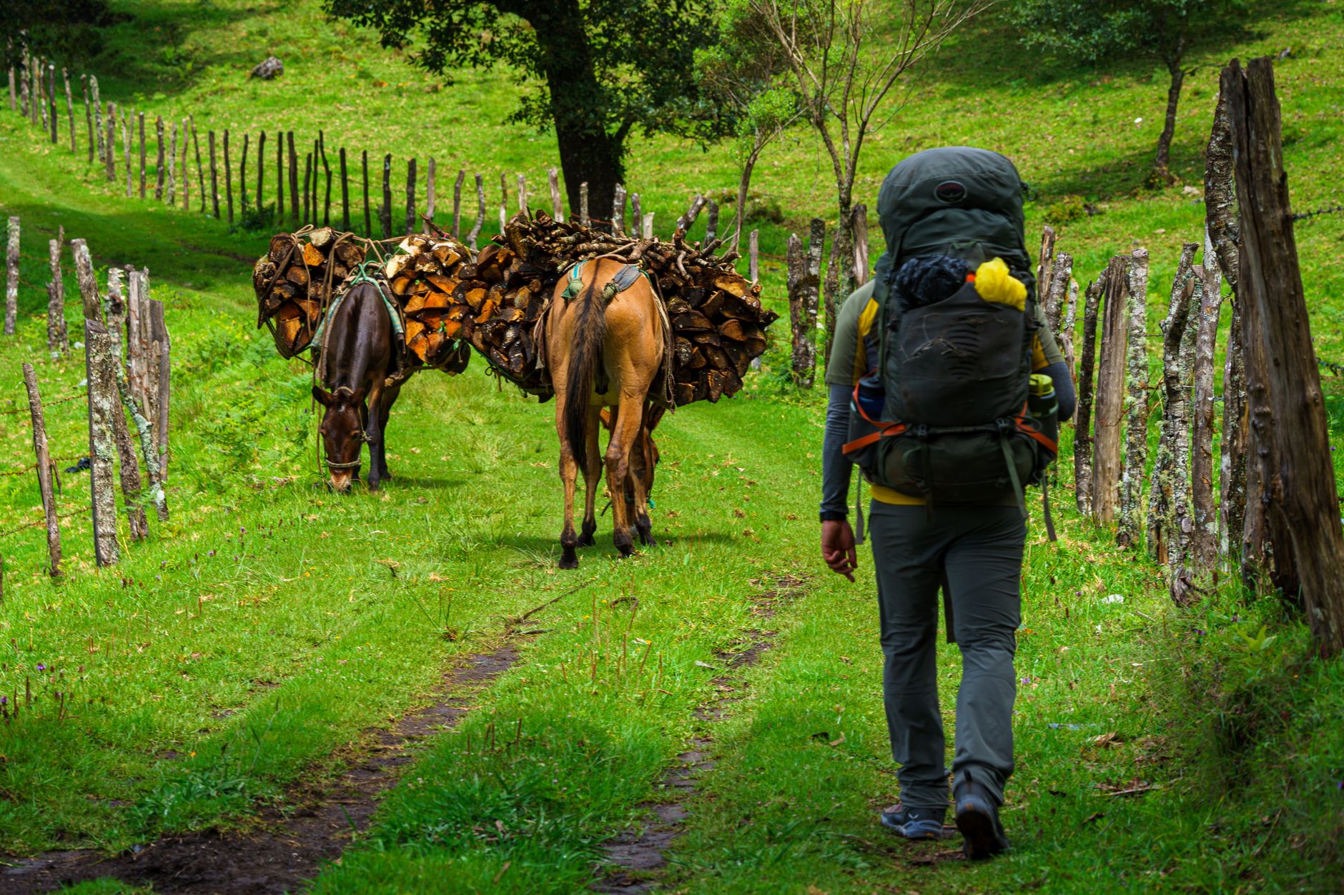 Zentralamerika Backpacking: Wie lange brauchst du wirklich?